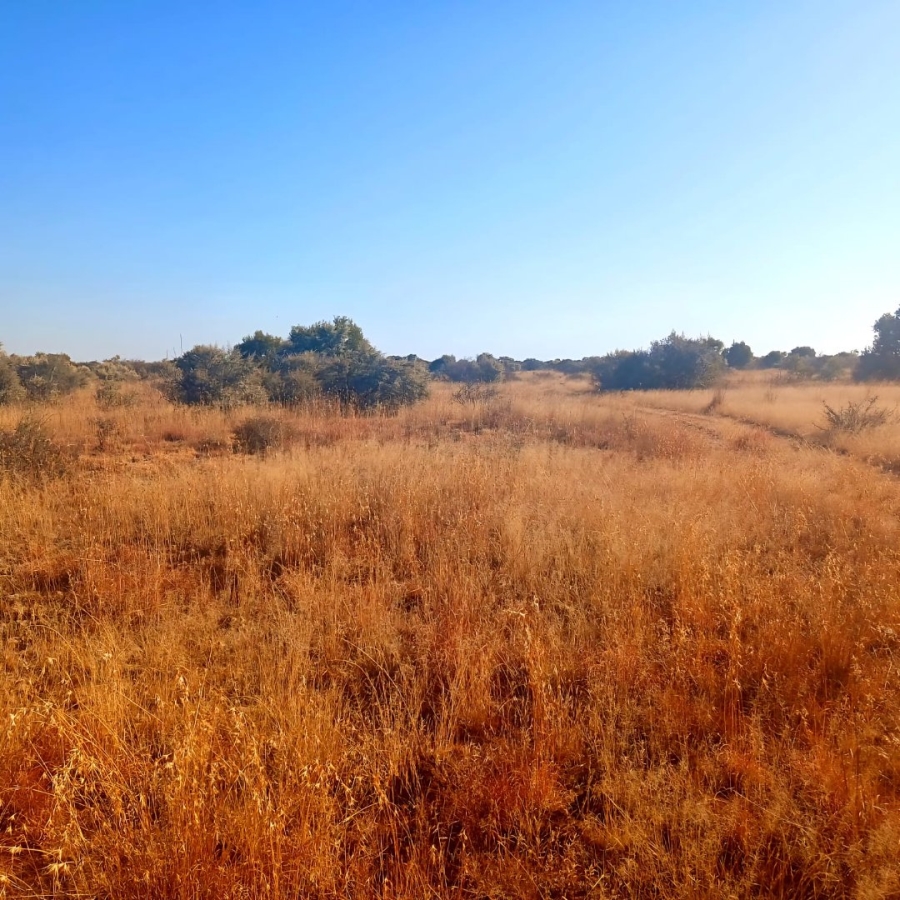 Commercial Property for Sale in Reivilo Northern Cape